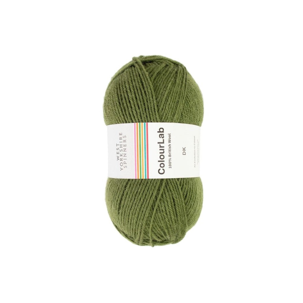 West Yorkshire Spinners Colour Lab DK Fern Green
