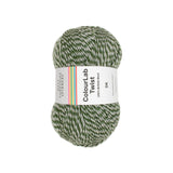 West Yorkshire Spinners Colourlab Twist DK Treetops