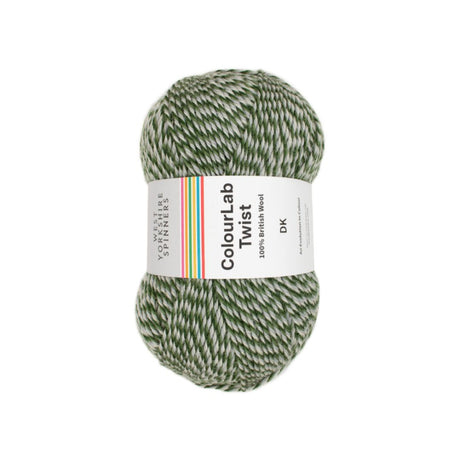 West Yorkshire Spinners Colourlab Twist DK Treetops