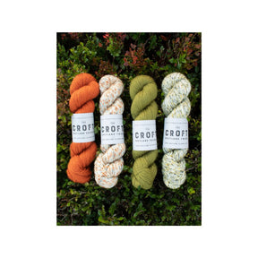 West Yorkshire Spinners The Croft DK Yarn - 100% British Wool