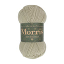 West Yorkshire Spinners Morris DK Linseed