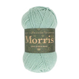 West Yorkshire Spinners Morris DK Mint
