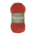 West Yorkshire Spinners Morris DK Rhubarb