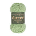 West Yorkshire Spinners Morris DK Sage