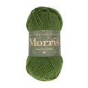 West Yorkshire Spinners Morris DK Yew