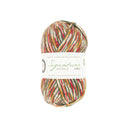 West Yorkshire Spinners Signature 4 Ply Sock Yarn Yuletide
