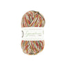 West Yorkshire Spinners Signature 4 Ply Sock Yarn Yuletide