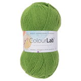 West Yorkshire Spinners Colour Lab Dk Shamrock Green