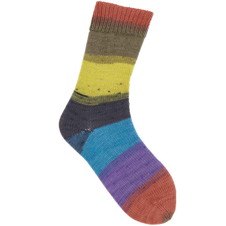 Rico Superba Cashmeri Luxury Sock Yarn Joy