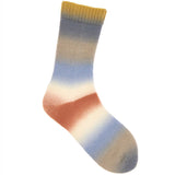 Rico Superba Twirl Sock Yarn Winter