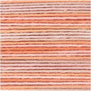 Ricorumi Prints Salmon Mix