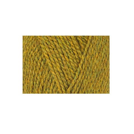 Stylecraft Highland Heathers Aran Yarn Gorse