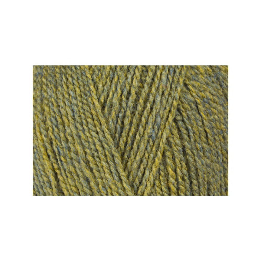 Stylecraft Highland Heathers DK Lichen