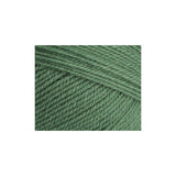 Stylecraft Special Aran With Wool Yarn Succulent