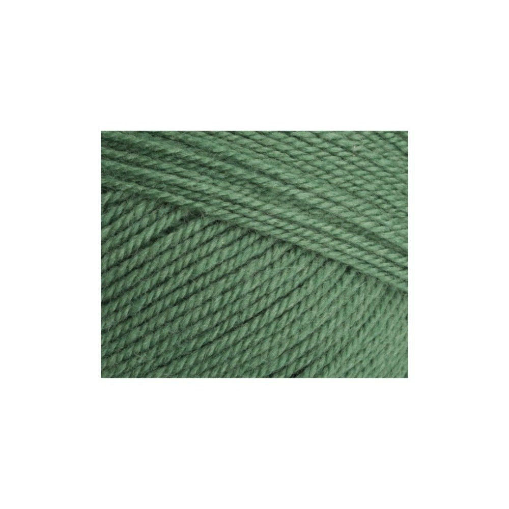 Stylecraft Special Aran With Wool Yarn Succulent