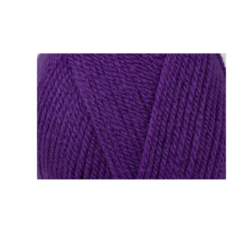 Stylecraft Special Aran Proper Purple