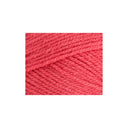 Stylecraft Special Aran Watermelon