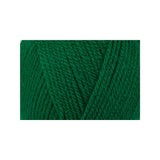 Stylecraft Special Chunky Green