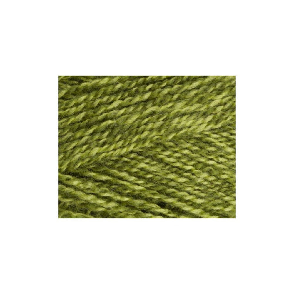 Stylecraft Special DK Greengage