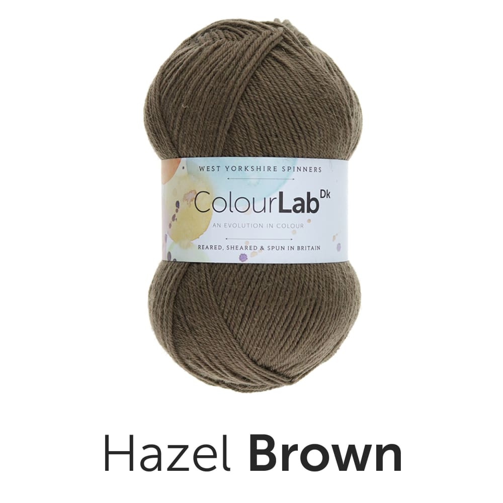 West Yorkshire Spinners Yarn Hazel Brown (491) West Yorkshire Spinners Colour Lab DK Knitting Yarn