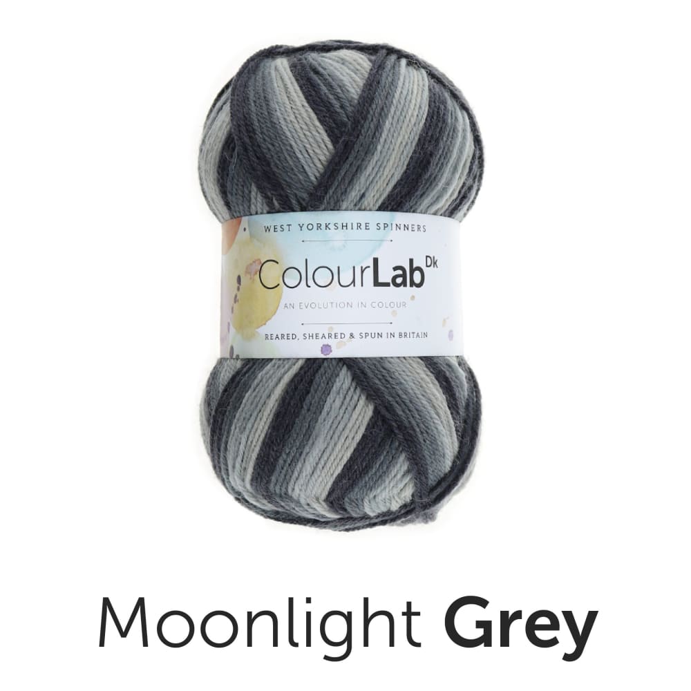 West Yorkshire Spinners Yarn Moonlight Grey (895) West Yorkshire Spinners Colour Lab DK Knitting Yarn