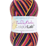 West Yorkshire Spinners Yarn Sunset Bouquet (1029) West Yorkshire Spinners Colour Lab DK Knitting Yarn