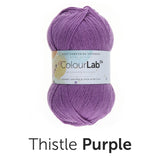 West Yorkshire Spinners Yarn Thistle Purple (717) West Yorkshire Spinners Colour Lab DK Knitting Yarn