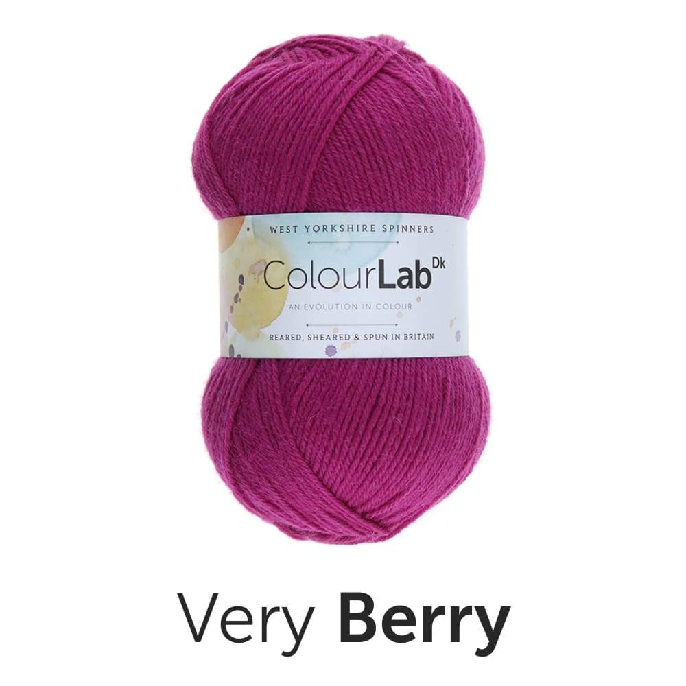 West Yorkshire Spinners Yarn Very Berry (647) West Yorkshire Spinners Colour Lab DK Knitting Yarn