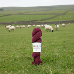 West Yorkshire Spinners Yarn West Yorkshire Spinners Fleece Bluefaced Leicester DK Yarn