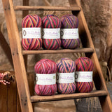 West Yorkshire Spinners Yarn West Yorkshire Spinners Signature 4 Ply Zandra Rhodes