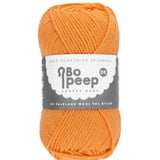 West Yorkshire Spinners Bo Peep Pumpkin