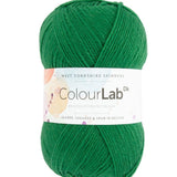 West Yorkshire Spinners Colour Lab Bottle Green