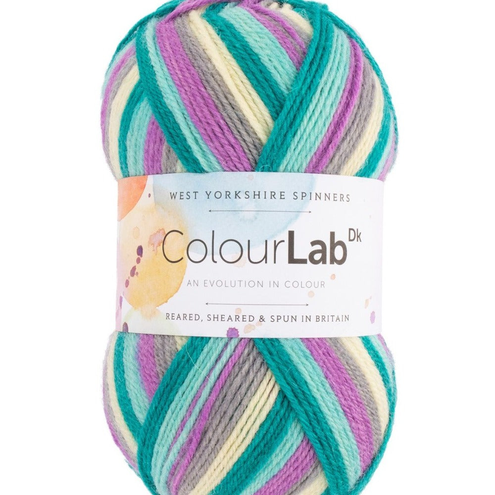 West Yorkshire Spinners Colour Lab Purple Rain