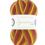 West Yorkshire Spinners Signature 4 ply Autumn Leaves