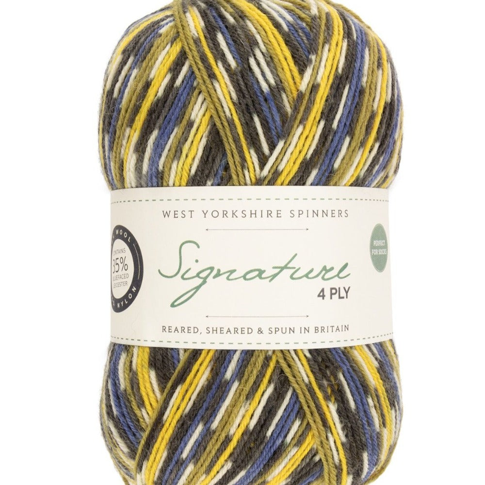 West Yorkshire Spinners Signature 4 Ply Blue Tit