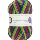 West Yorkshire Spinners Signature 4 Ply Brightside