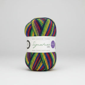 West Yorkshire Spinners Signature 4 Ply Brightside