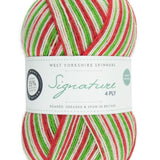 West Yorkshire Spinners Signature 4 Ply Candy Cane