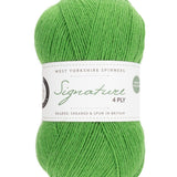 West Yorkshire Spinners Signature 4 Ply Chocolate Lime
