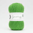 West Yorkshire Spinners Signature 4 Ply Chocolate Lime
