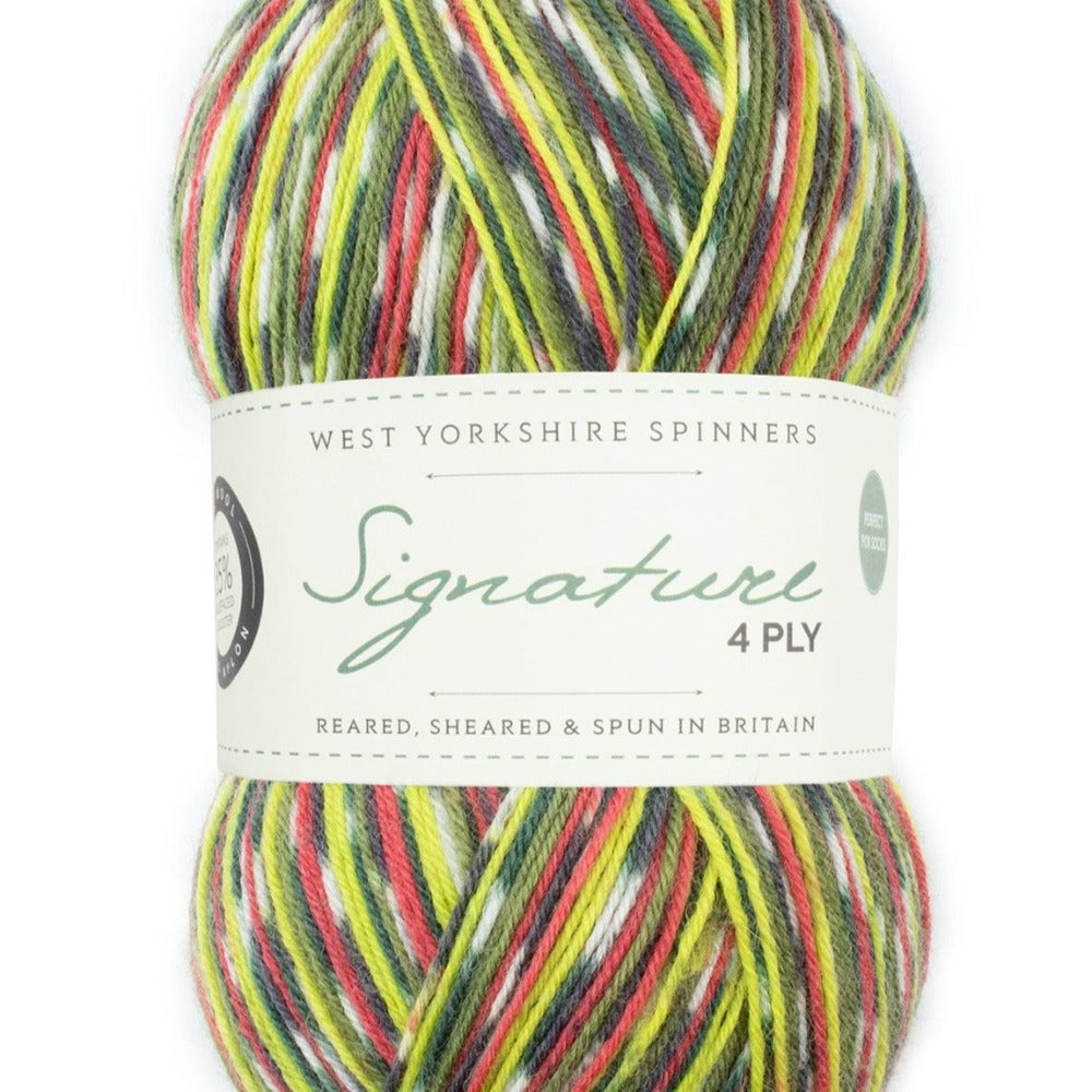 West Yorkshire Spinners Signature 4 ply Woodpecker