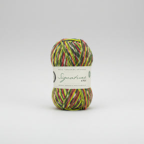 West Yorkshire Spinners Signature 4 ply Woodpecker
