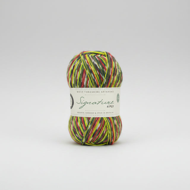 West Yorkshire Spinners Signature 4 ply Woodpecker