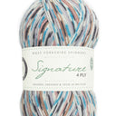 West Yorkshire Spinners Signature 4 Ply Jay