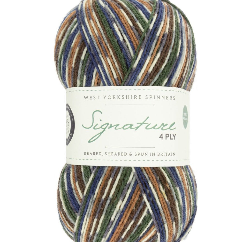 West Yorkshire Spinners Signature 4 Ply Mallard