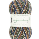 West Yorkshire Spinners Signature 4 Ply Mallard