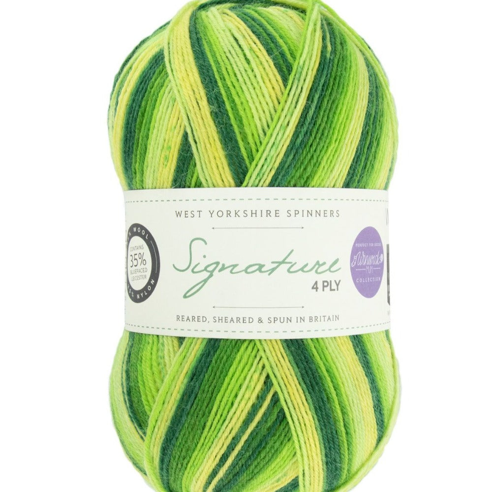 West Yorkshire Spinners Signature 4 ply Spring Green