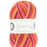 West Yorkshire Spinners Signature 4 ply Summer Sunset
