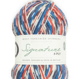 West Yorkshire Spinners Signature 4 ply Swallow