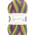 West Yorkshire Spinners Signature 4 Ply Wildflower